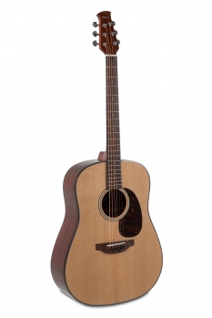 Applause Wood Classic Dreadnought Natural Gloss