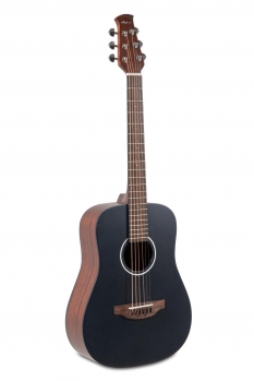 Applause Wood Classic Dreadnought Travel